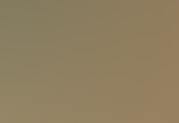 Donation Help Raised